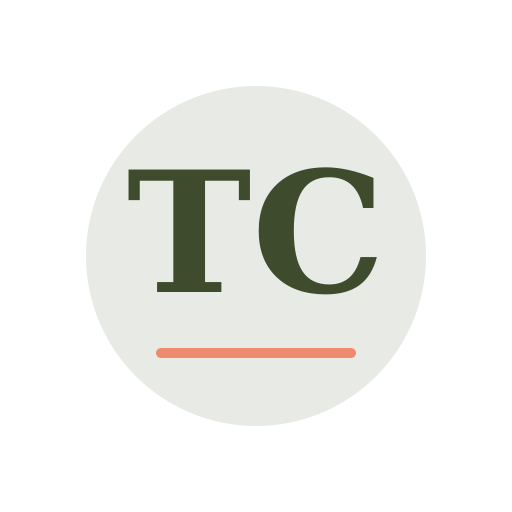 Torres Chimney Services logo
